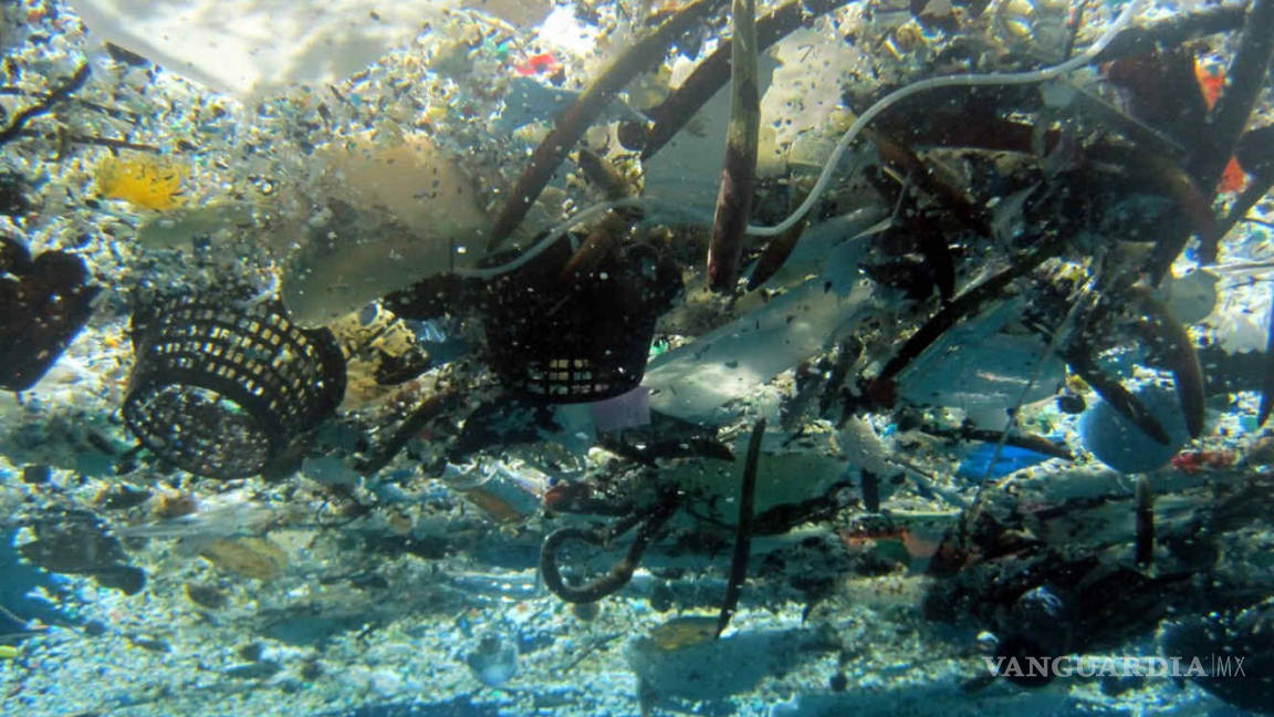 Microplásticos y sobrepesca constituyen amenazas más graves para los océanos