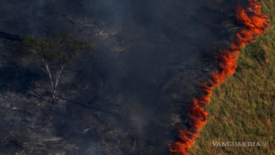 Devastadores incendios continúan avanzando en la Amazonia y Bolivia (EN VIVO)