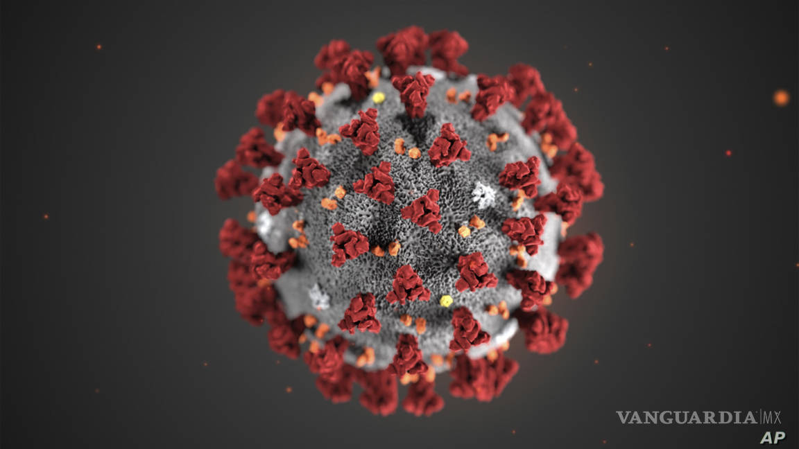 Coronavirus está activo de tres horas a tres días: estudio de la UAM