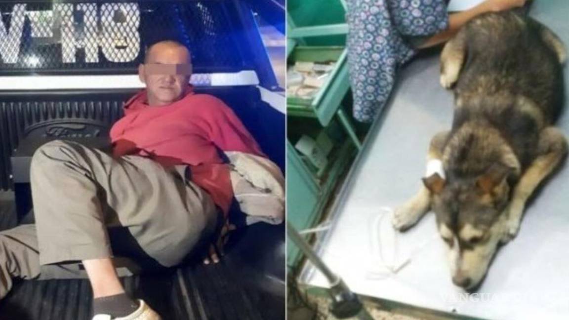 Muere Mati, la perrita que fue violada por un hombre en Nezahualcóyotl