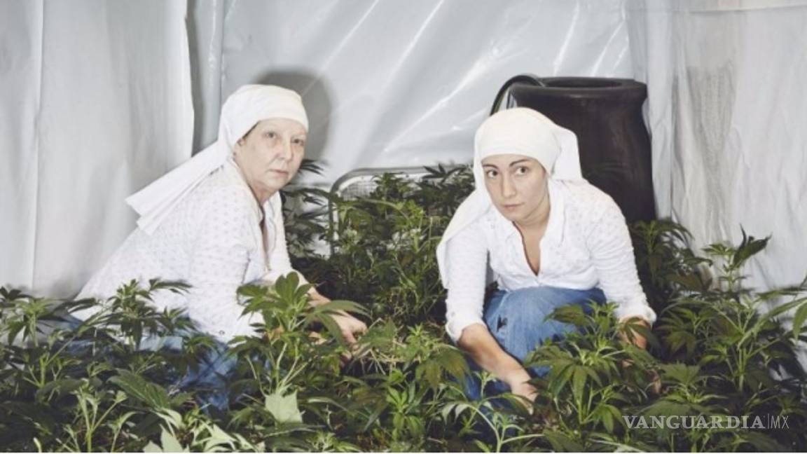 Monjas de California producen medicamentos a base de mariguana