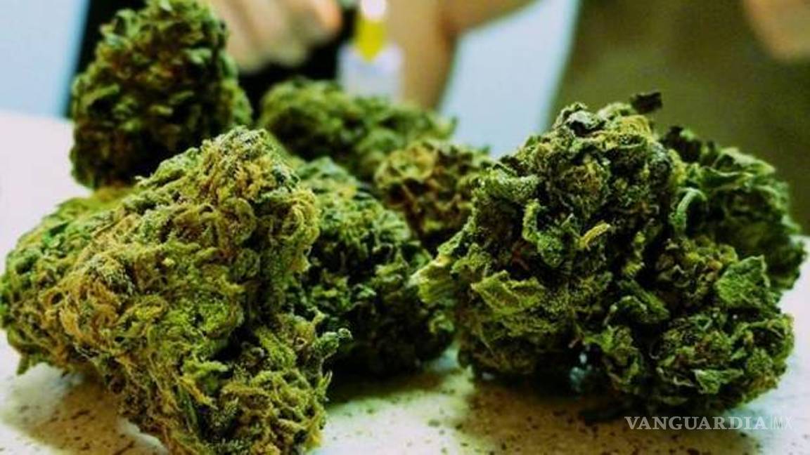 $!Perfilan cambio en política prohibicionista a mariguana