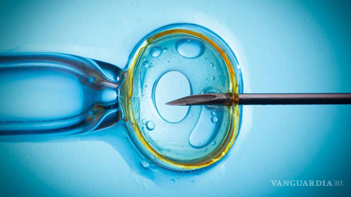 ¿Optaría por la concepción in vitro para que sus hijos sean sanos?
