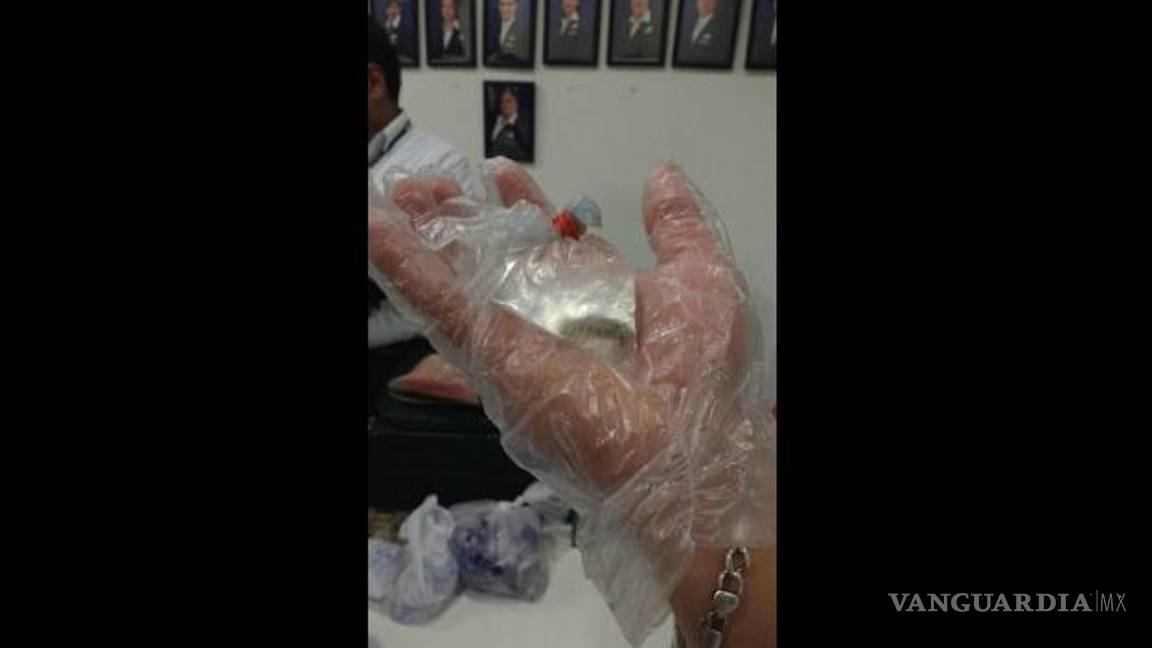 $!Exigen frenar el tráfico de especies endémicas de Cuatro Ciénegas