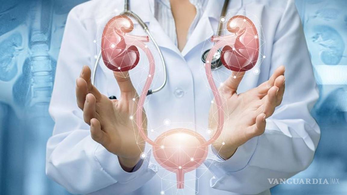 Coahuila: Cuidar la salud renal, un propósito esencial para el inicio de año