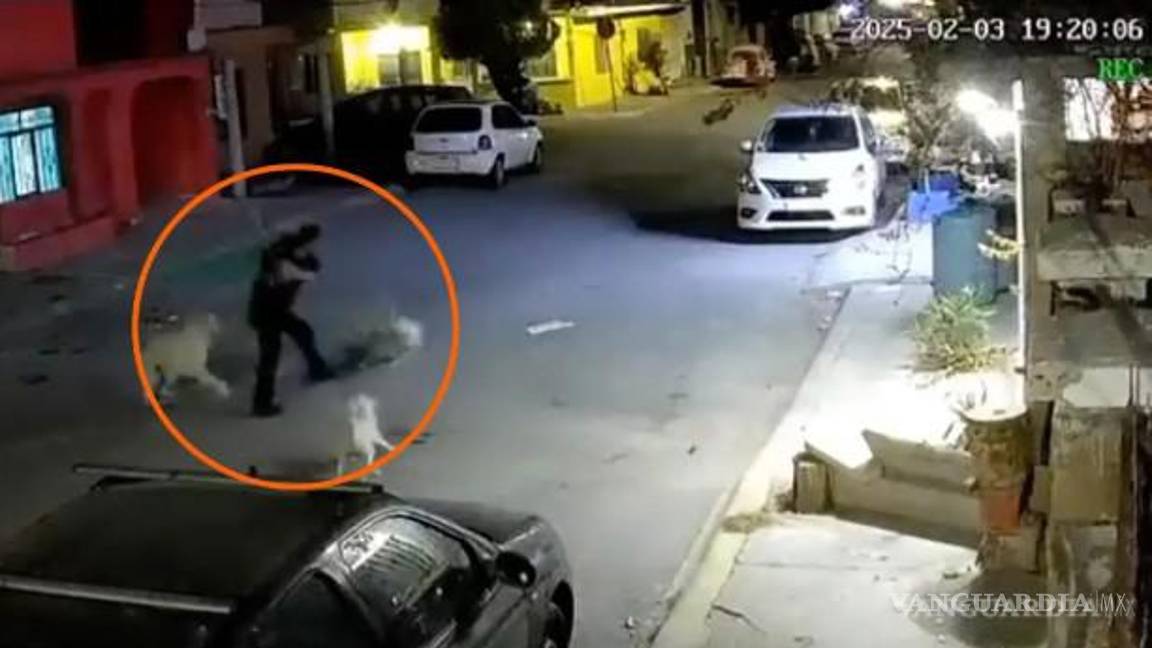 Activistas exigen justicia por perrito golpeado brutalmente en Ramos Arizpe