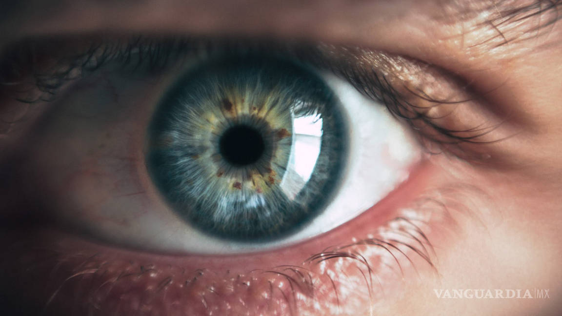 Personas con glaucoma gastan la mitad de sus ingresos por tratamiento