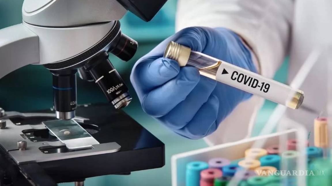 Debemos prepararnos para potencial pandemia del coronavirus, dice la OMS