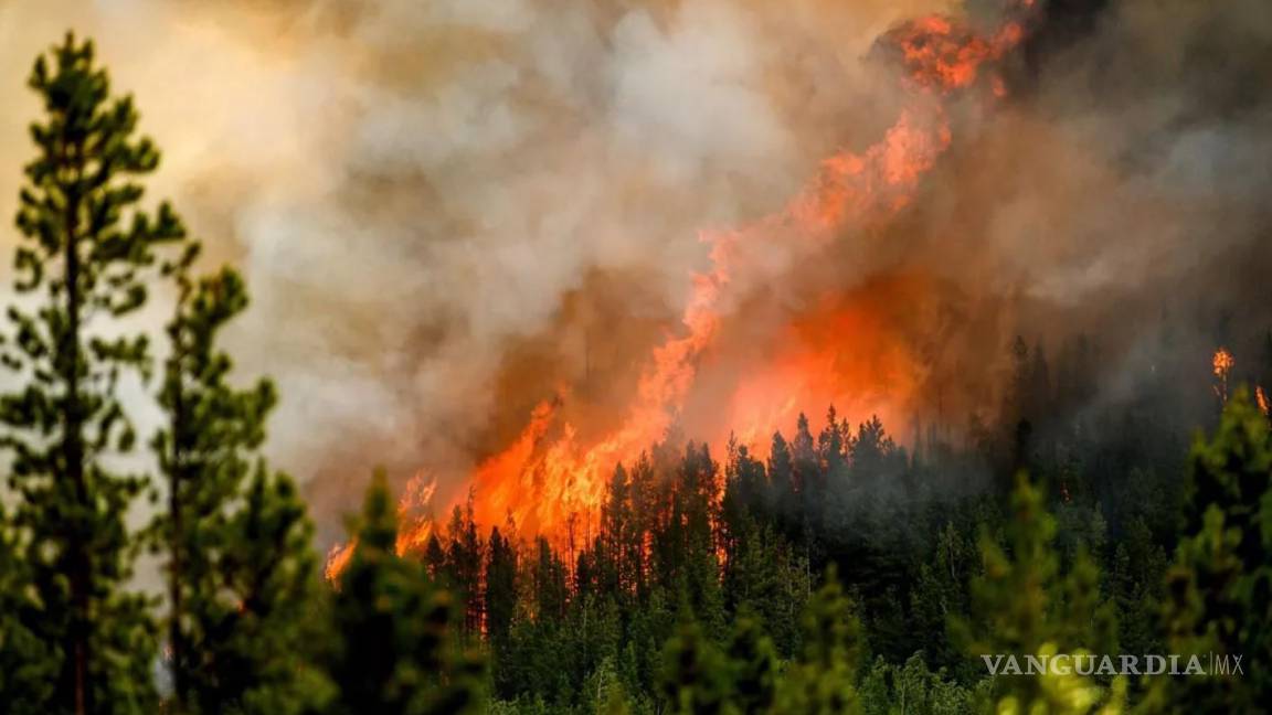 Tiene Canadá 87 incendios forestales activos