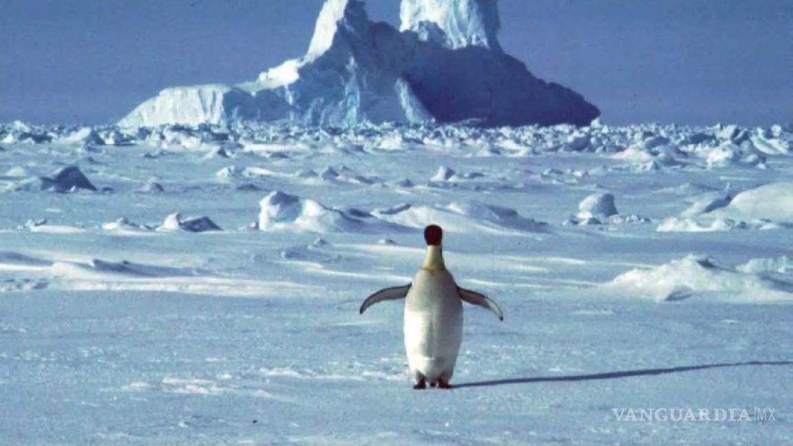 La Antártida registra temperatura récord: ¡18 grados!