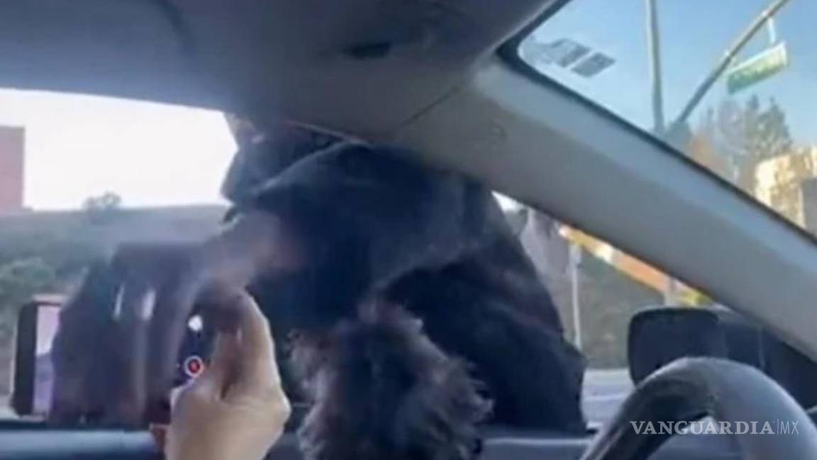 $!El cantante despojó de su celular a la mujer que le tomaba fotos.