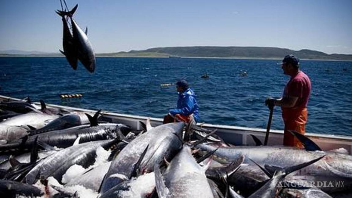 Acuerdo internacional contra la pesca ilegal entrará en vigor en junio