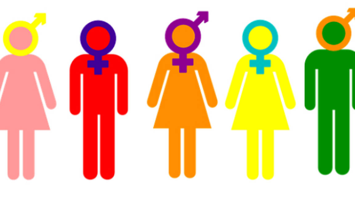 ONU crea sitio web por Día de la Visibilidad Intersex
