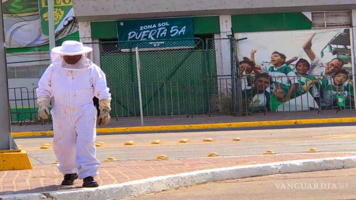 Ataque de abejas en León deja al menos 14 heridos