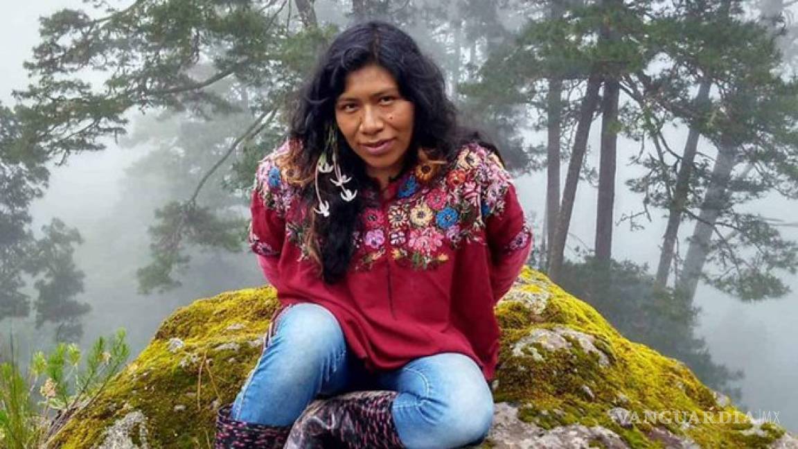 Desaparece defensora indígena de los bosques en Oaxaca, Irma Galindo