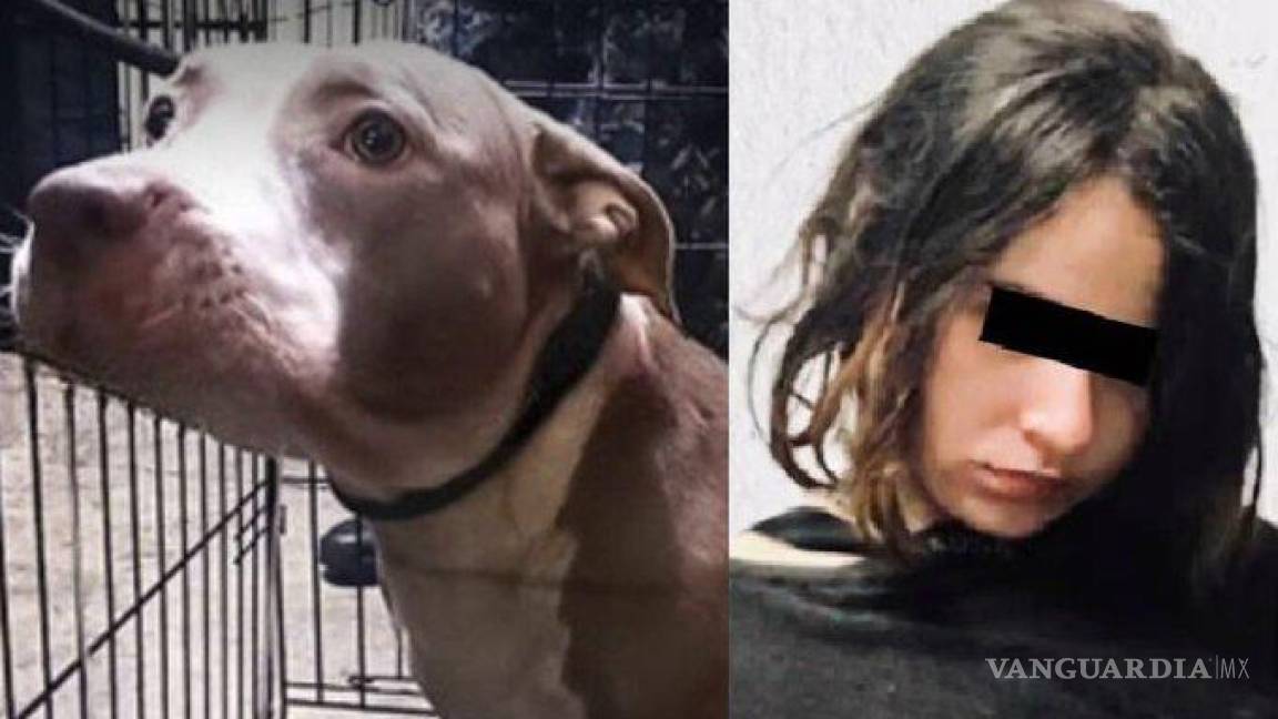 La pitbull de Karla, joven acusada de matar a familiares, será puesta en adopción