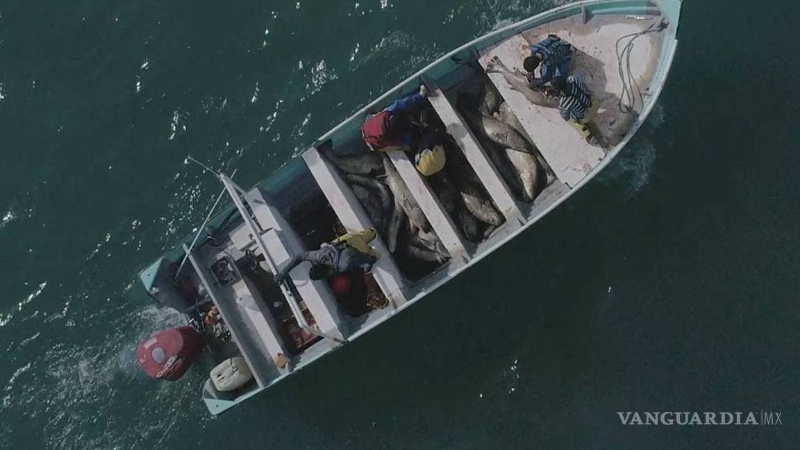 $!Como en el caso Ovidio Guzmán: fuerzas armadas capturan a integrantes del Cártel del Mar... ¡pero los dejan en libertad!