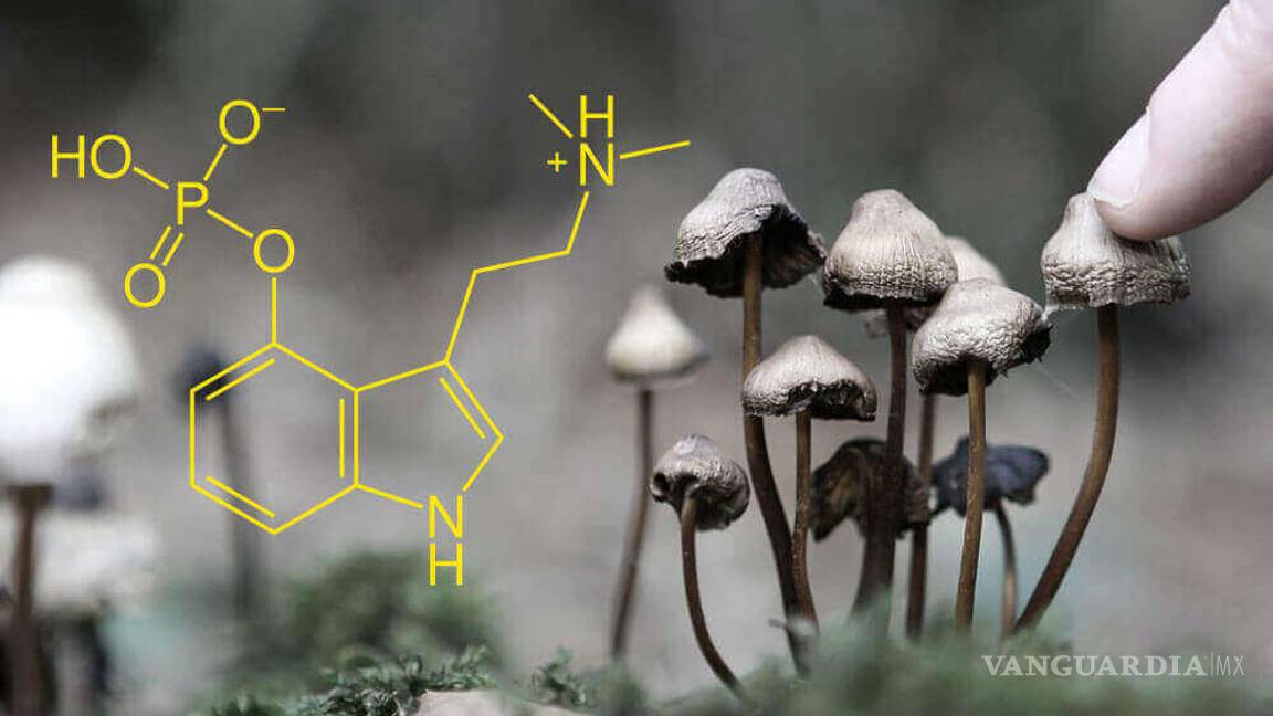 $!Para los pacientes con cáncer, una droga popular elimina el miedo a la muerte