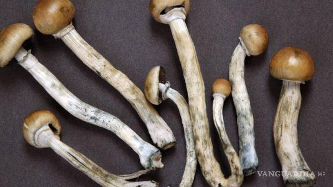 $!Mariana contó que uno de los aspectos que más pide cuidar a la hora de intentar consumir este tipo de sustancias es tomarlas como las hierbas y recursos ancestrales de pueblos originarios.