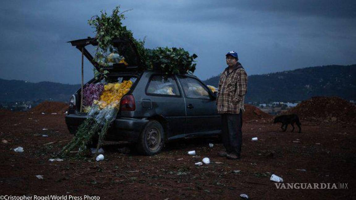 $!Mexicano gana el World Press Photo con fotorreportaje sobre pesticidas