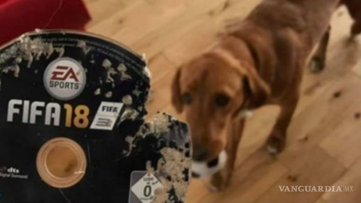 Perro muerde Fifa 18 y su dueño le pide a Amazon que le reponga el juego