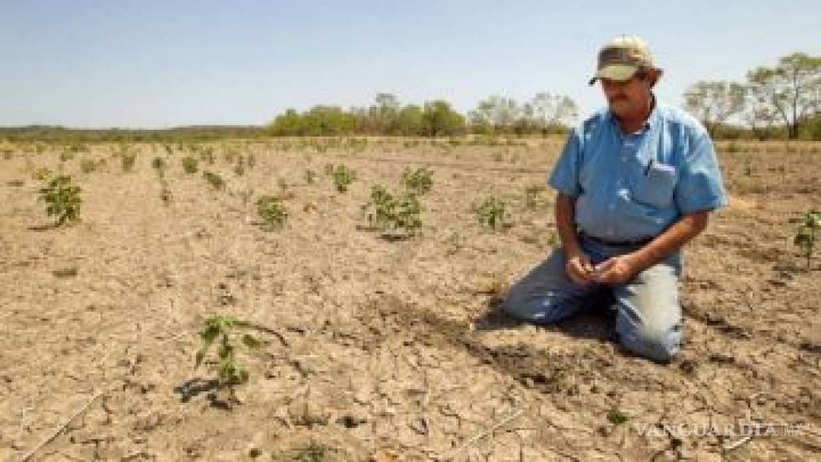 México sufrirá intensas sequías, alerta FAO