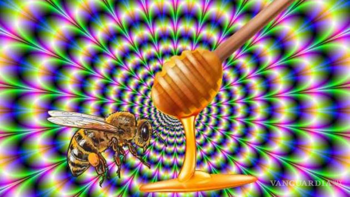 La increíble miel alucinógena