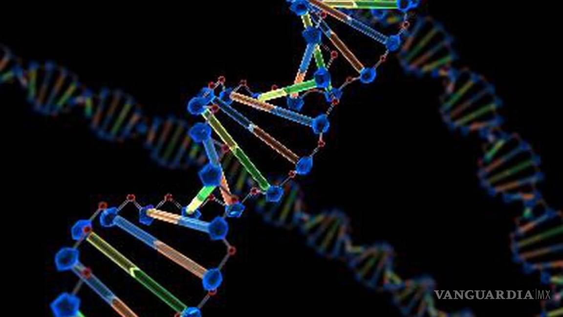 $!Lo oscuro del ADN