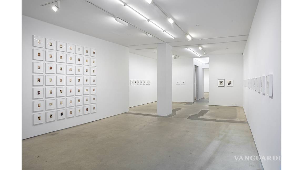 Galería Jack Shainman exhibe el tesoro fotográfico de Andy Warhol en Nueva York
