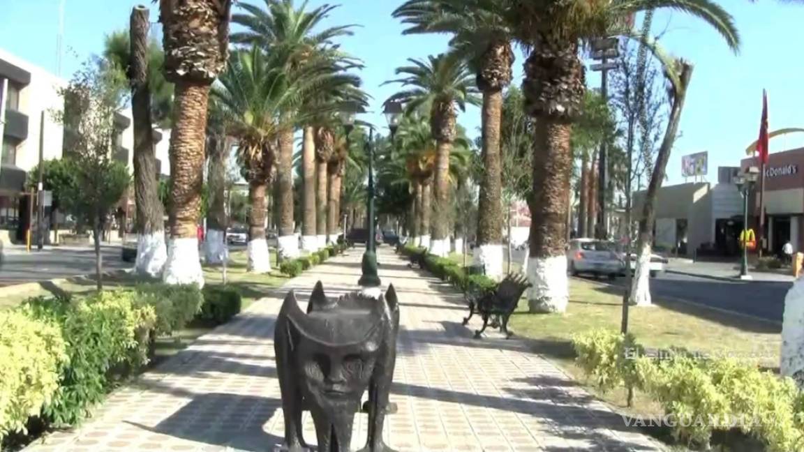 Paseo Colón invita a sus actividades de este domingo