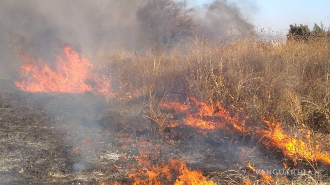 Fuertes vientos provocan incendios en zacatales en Piedras Negras