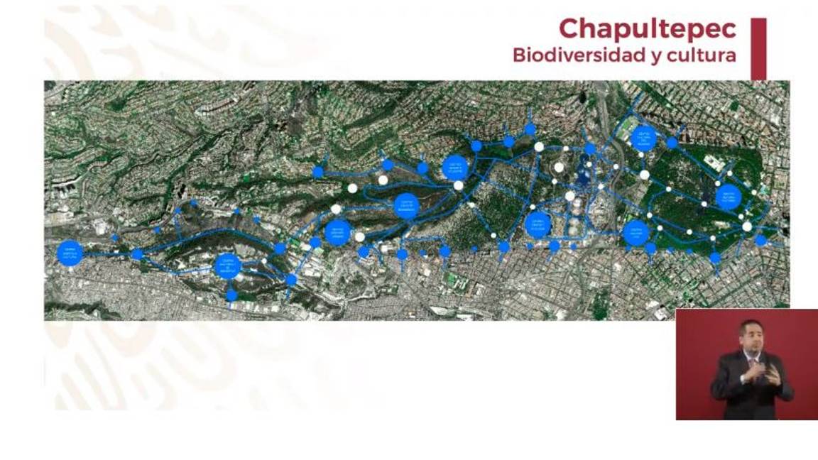 $!'De gratis': Gabriel Orozco coordinará proyecto de la 4ta sección del Bosque de Chapultepec
