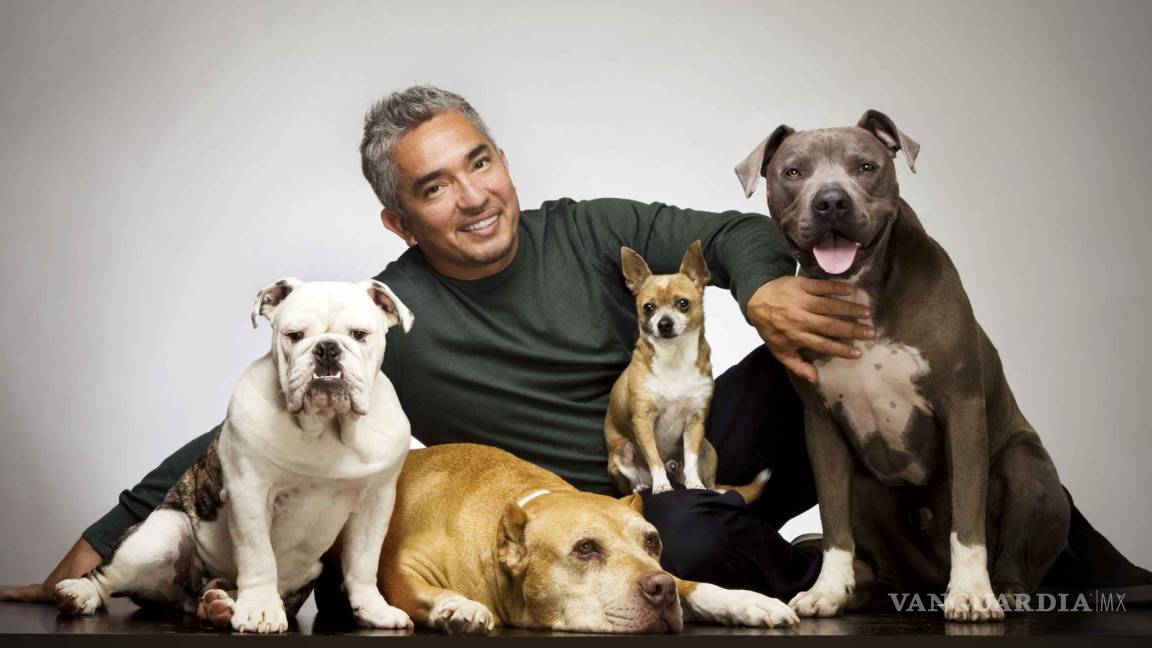 César Millán, “el encantador de perros”, es investigado en EU por maltrato animal