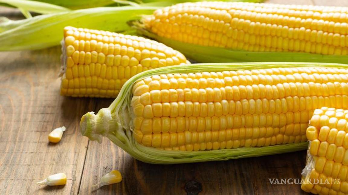 Los riesgos del maíz transgénico; ¿qué marcas lo utilizan?