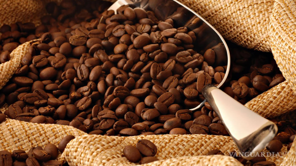 Impactará caída de precios de café en América Latina; podría aumentar migración