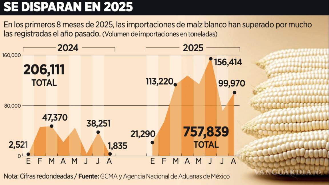 $!En valor, las importaciones de maíz blanco correspondientes a los primeros ocho meses del año ascendieron a 214 mdd, un incremento de 247.3% anual.