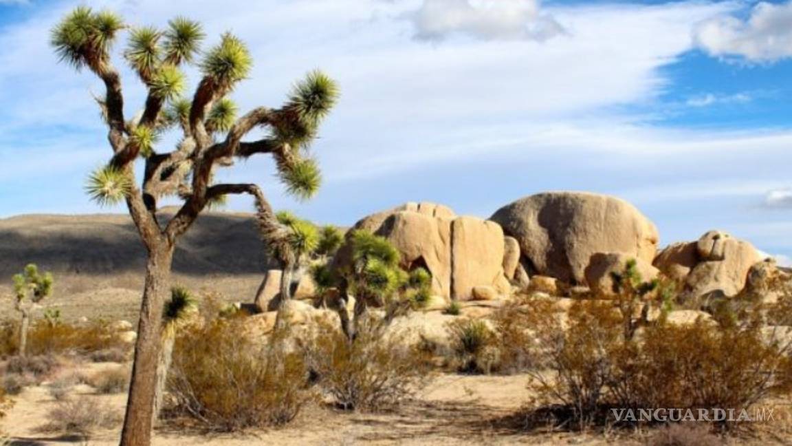 $!El Valle de la Muerte alcanza los 54ºC, segunda temperatura más alta de todos los tiempos