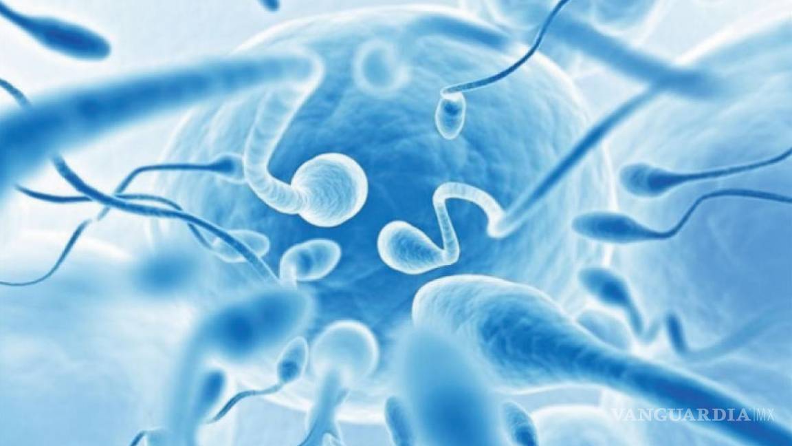$!Semen actual, el de peor calidad que hace 40 años
