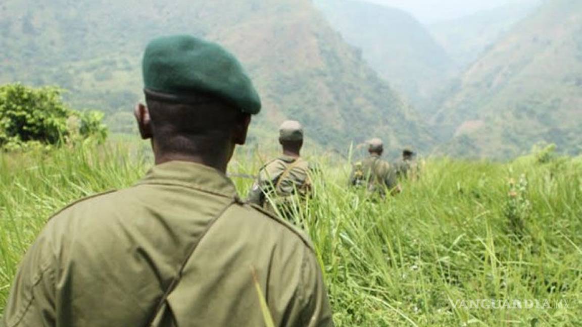 Seis guardabosques fueron asesinados en el Congo