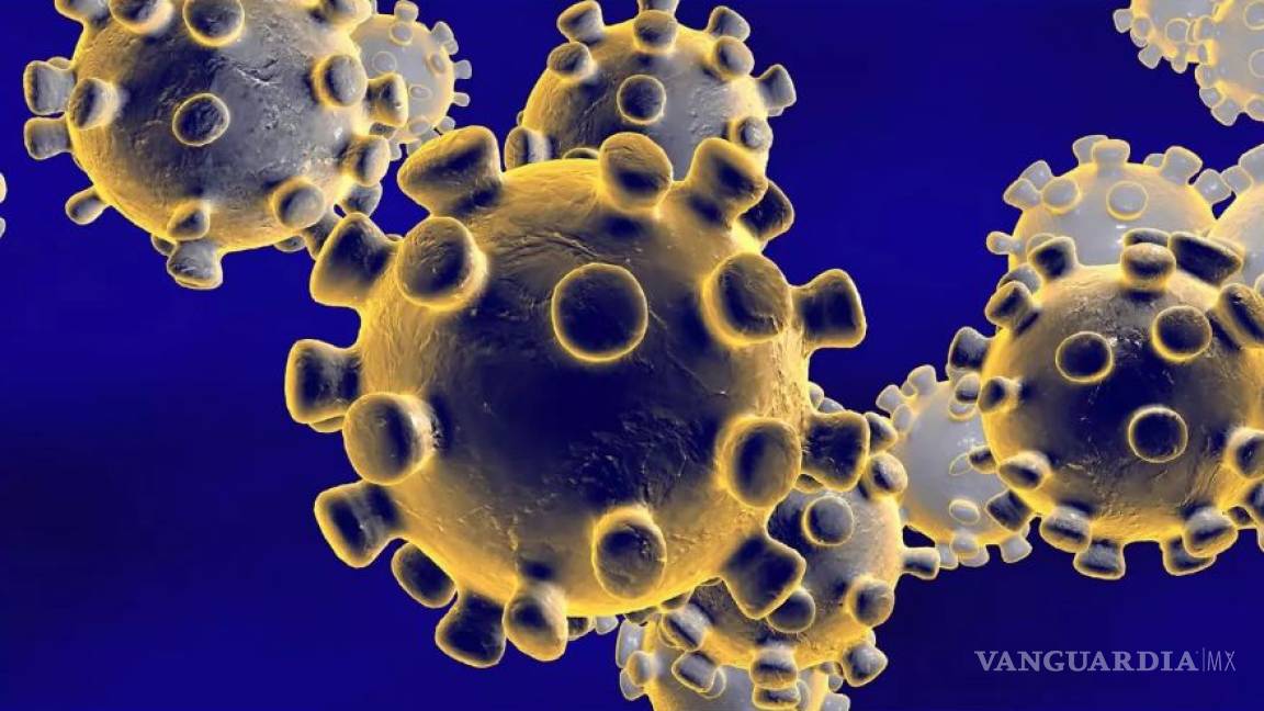 OMS descarta, por ahora, declarar emergencia por coronavirus