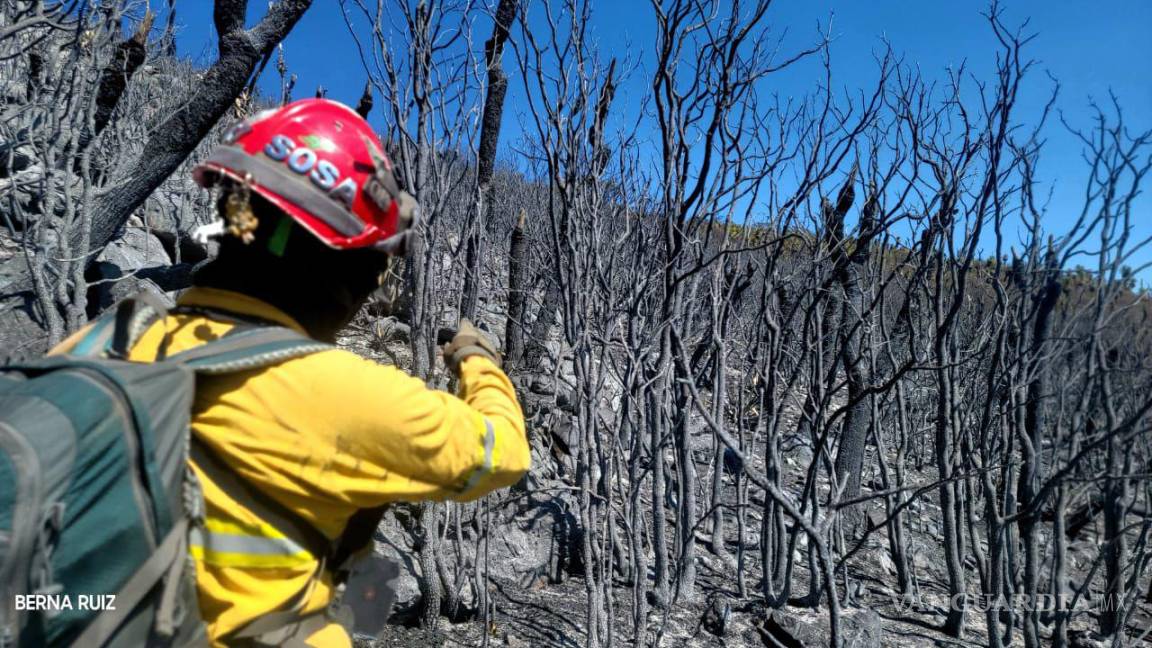 Liquidan incendio forestal registrado en Zaragoza, Nuevo León