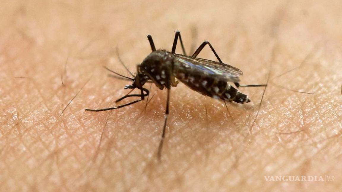 Florida confirma primer caso de transmisión local de Zika en 2017