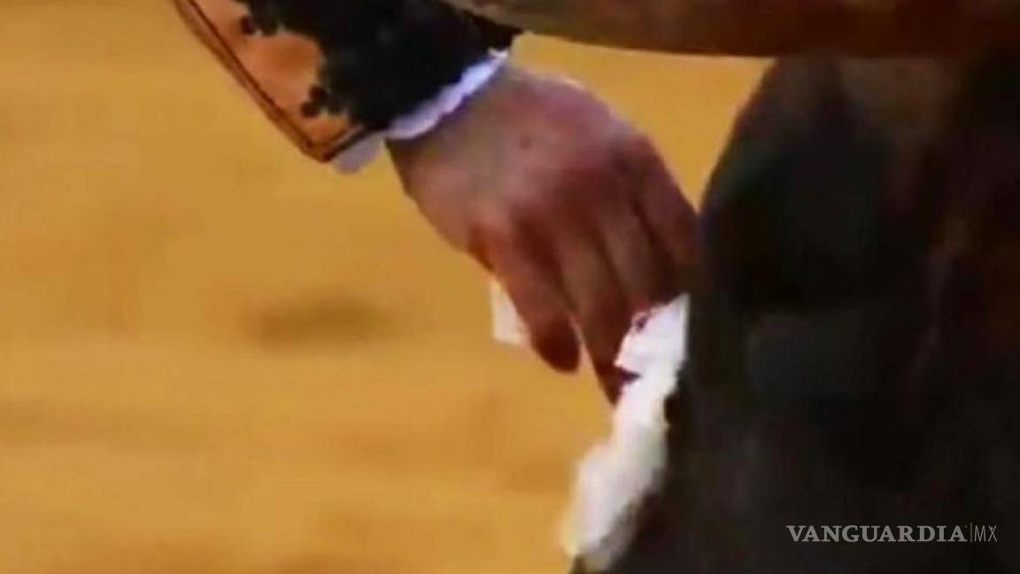 $!Torero limpia las lágrimas a toro que llora de dolor.. ¡y después lo mata! (Video)