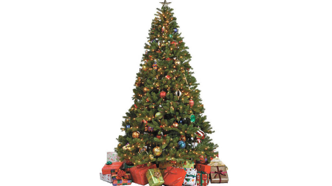 En Saltillo sale caro poner pino y nacimiento para Navidad