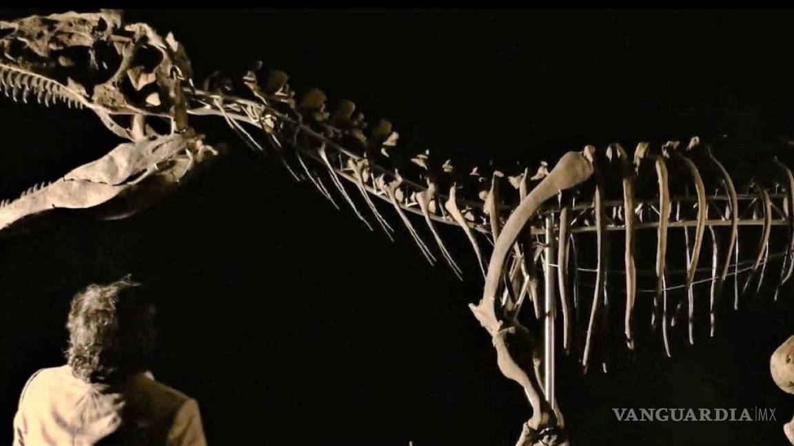 Subasta Francia fósil de un dinosaurio