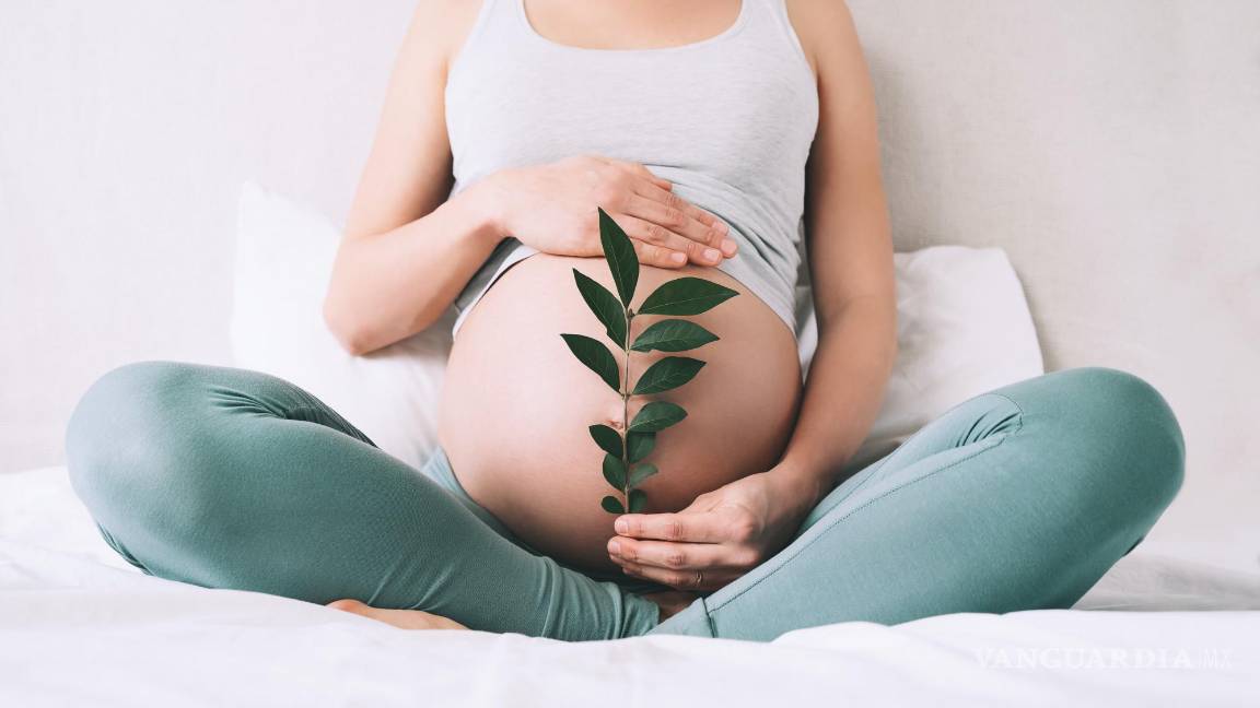 $!Mujer gestante sujeta un brote vegetal (símbolo de fertilidad) junto a su vientre.