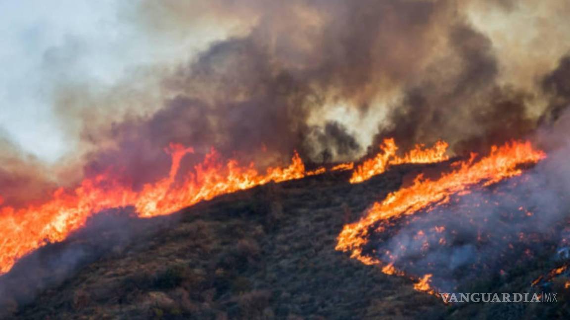 México pierde más de 4 mil hectáreas por incendios forestales, CNPC reporta 33 casos activos