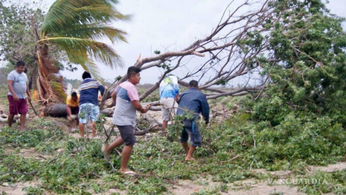 Deja Agatha por su paso en Oaxaca deslaves, corte de energía y árboles caídos; se degrada a tormenta tropical