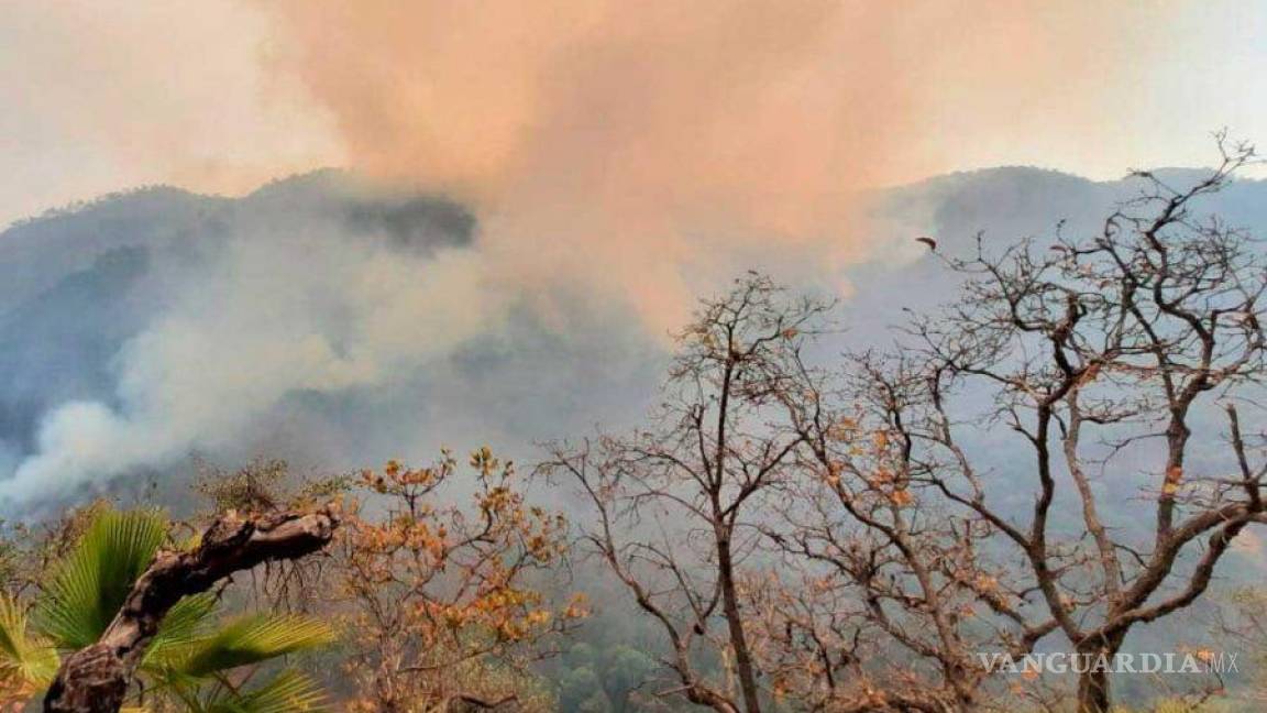 Incendio en la reserva de la biosfera El Cielo, en Tamaulipas, sigue fuera de control