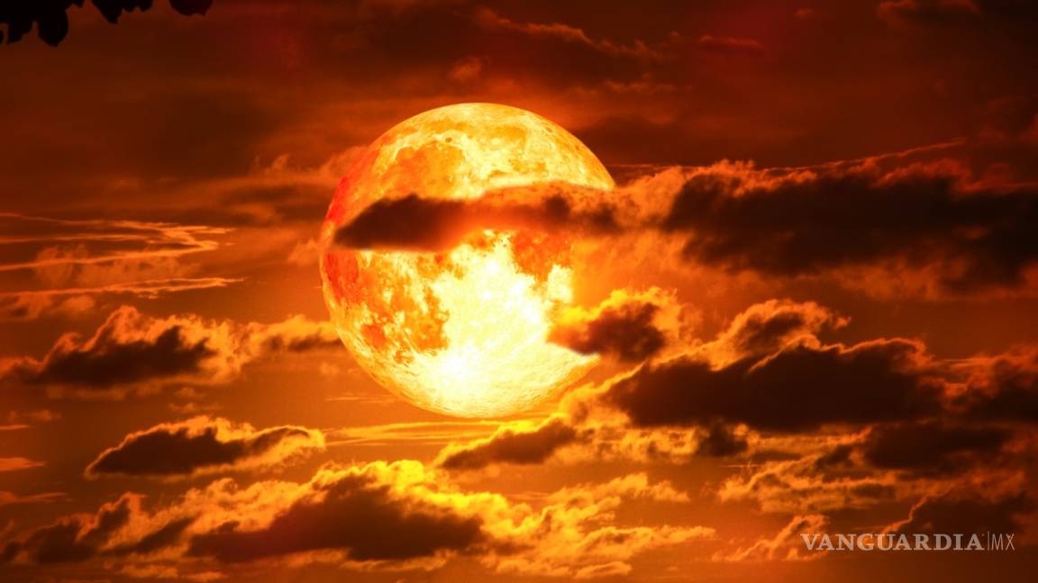 Te decimos cuando se podrá ver el eclipse lunar y la superluna de flores